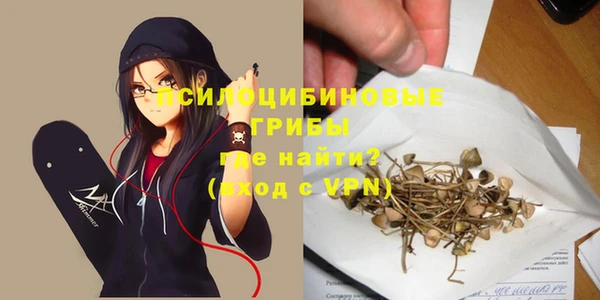 ГАЛЛЮЦИНОГЕННЫЕ ГРИБЫ Магас
