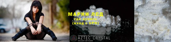 ГАЛЛЮЦИНОГЕННЫЕ ГРИБЫ Магас