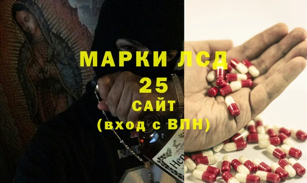 ГАЛЛЮЦИНОГЕННЫЕ ГРИБЫ Магас