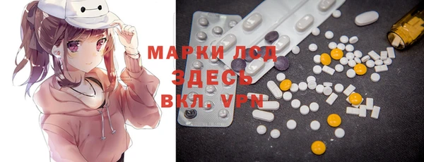 ГАЛЛЮЦИНОГЕННЫЕ ГРИБЫ Магас