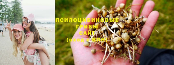 не бодяженный Медногорск