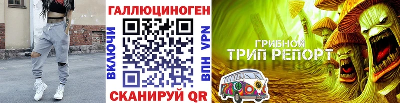 Галлюциногенные грибы Psilocybe  Галич 